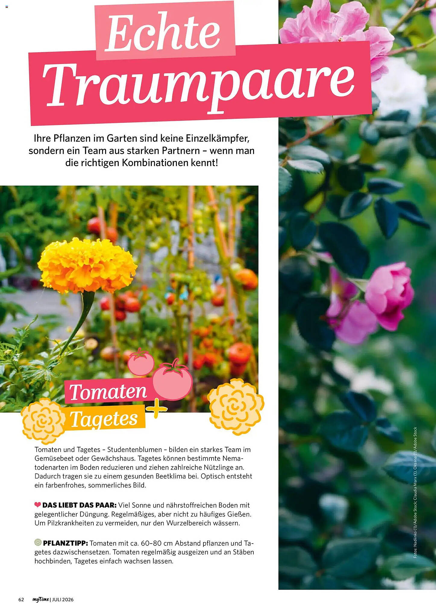 Combi Prospekt - Pagina 62
