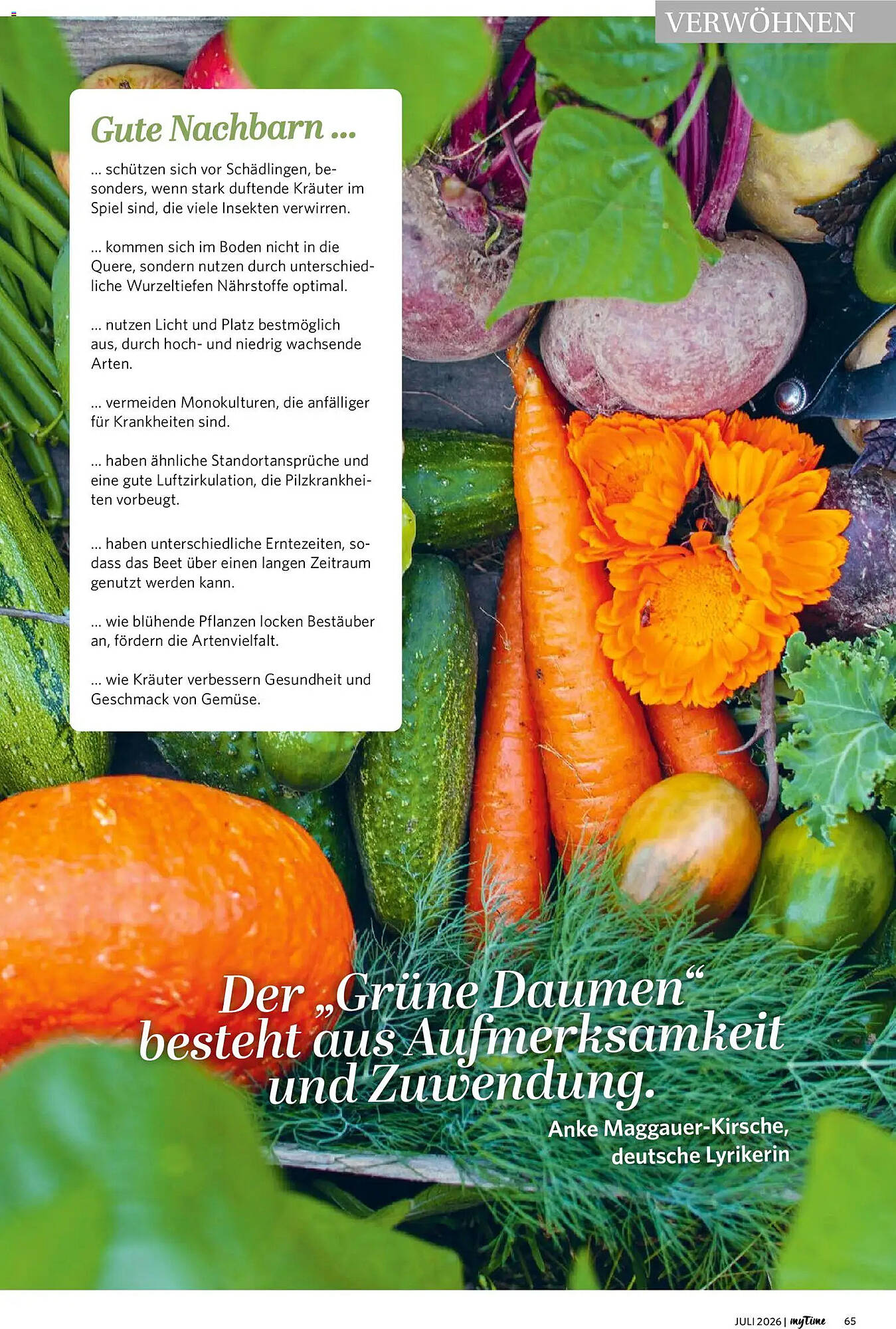Combi Prospekt - Pagina 65