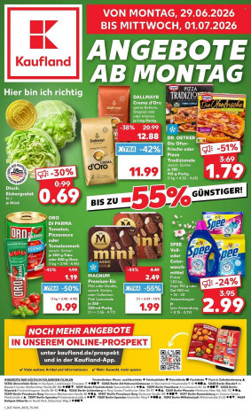 Kaufland Prospekt