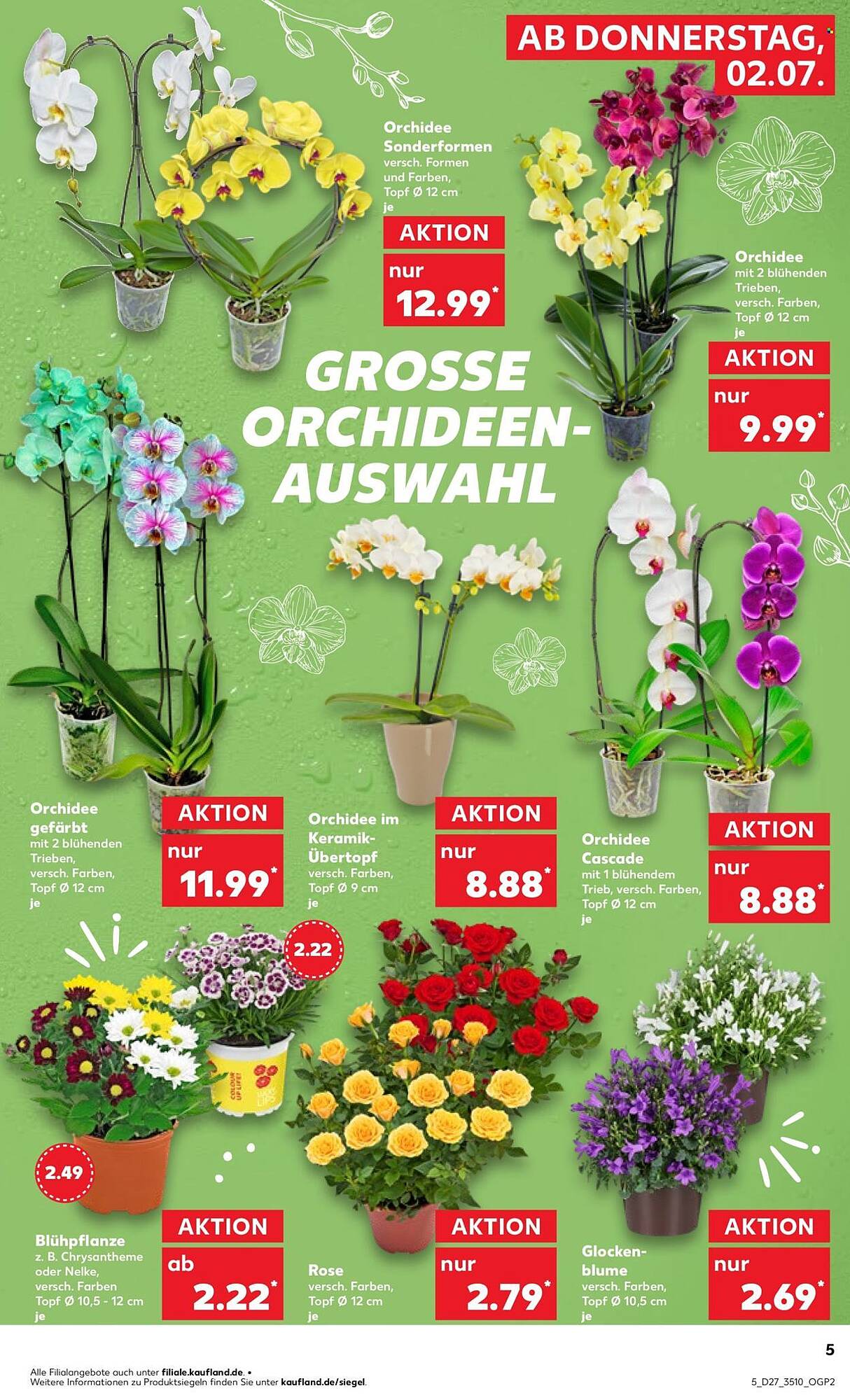 Kaufland Prospekt - Pagina 5