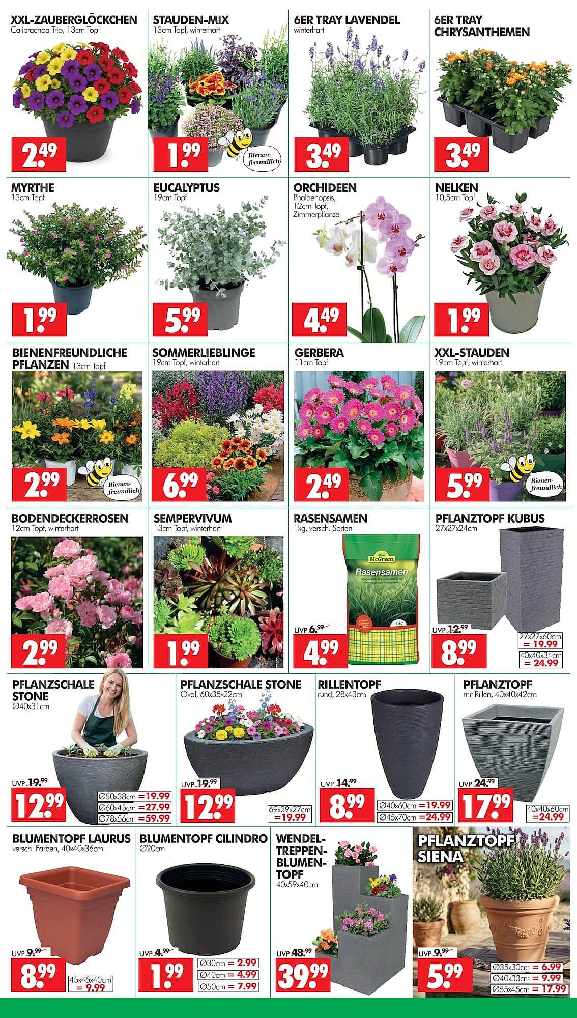Wreesmann Prospekt - Pagina 3