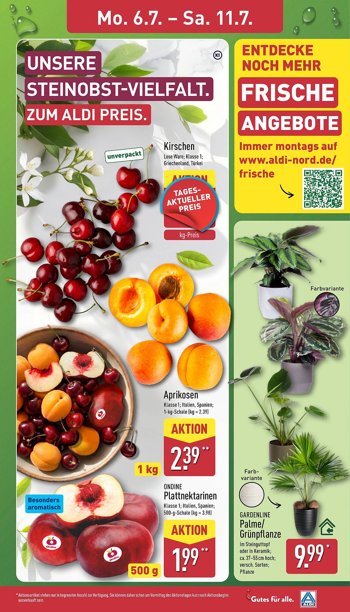 Aldi Nord Prospekt - Pagina 3