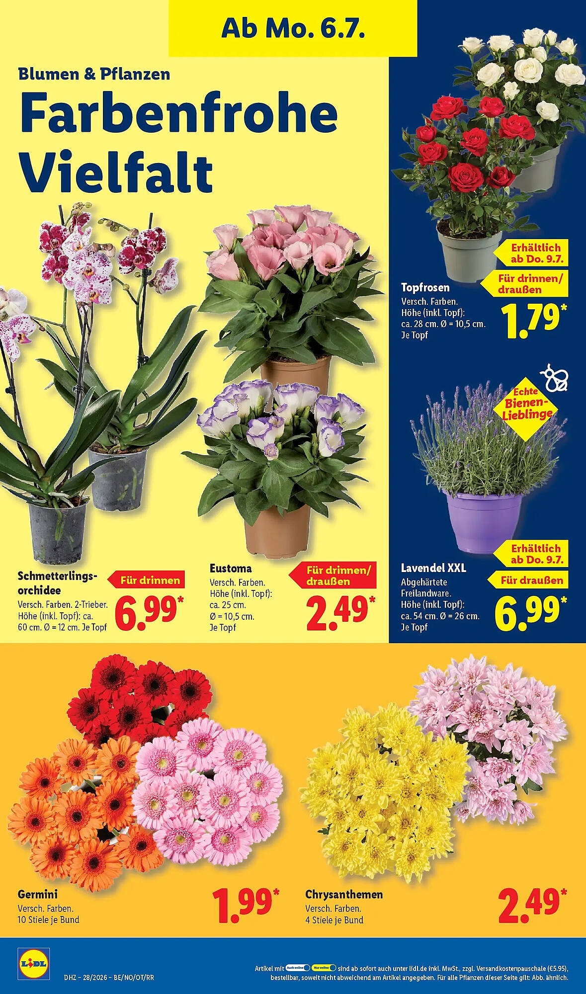 Lidl Prospekt - Pagina 22