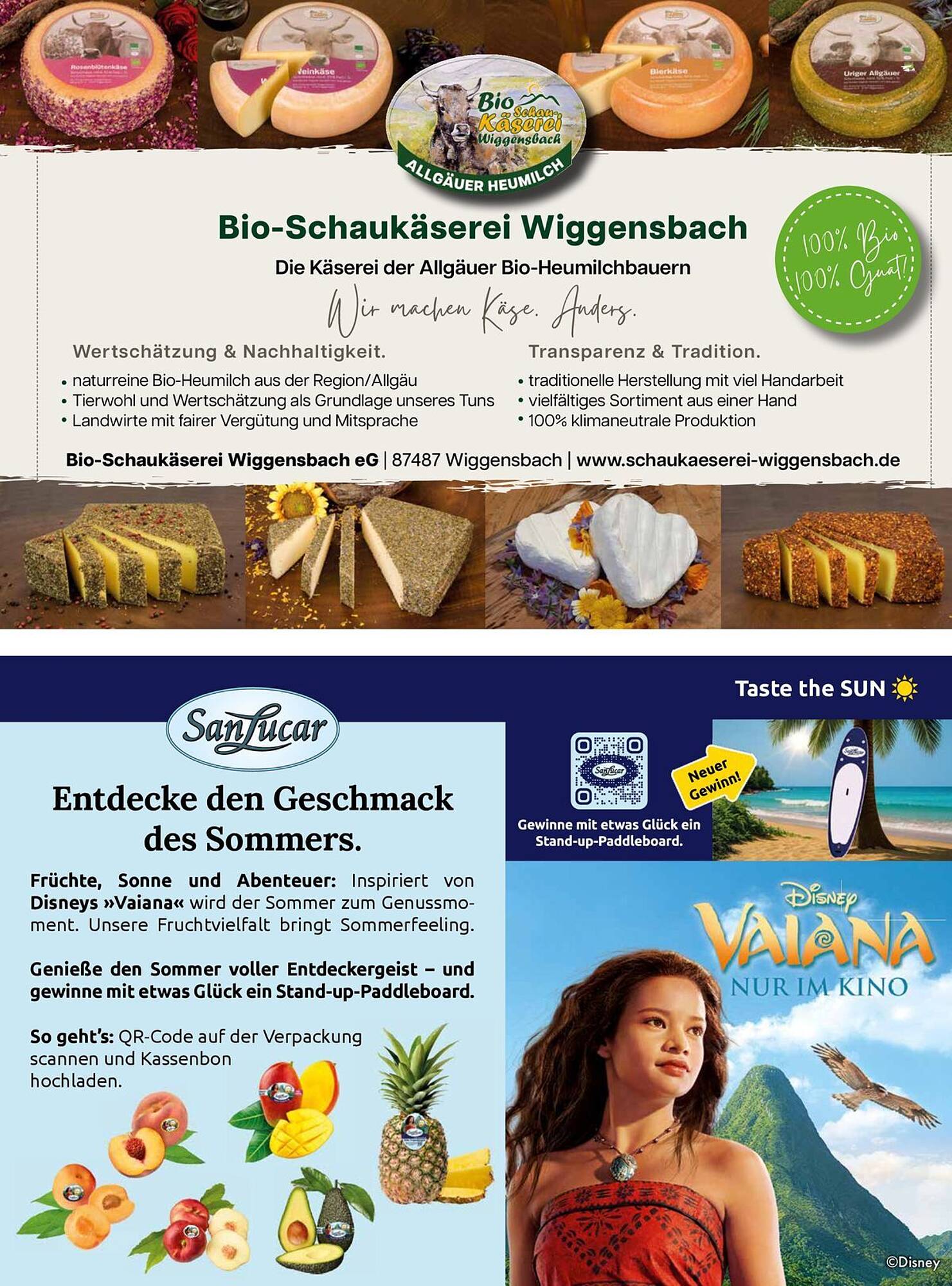 V-Markt Prospekt - Pagina 59