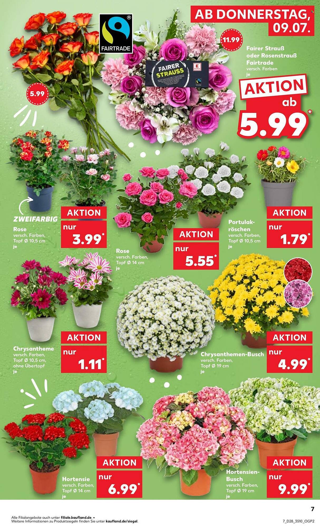 Kaufland Prospekt - Pagina 7