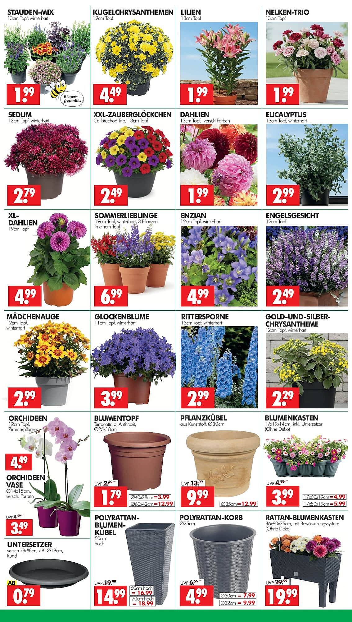 Wreesmann Prospekt - Pagina 5