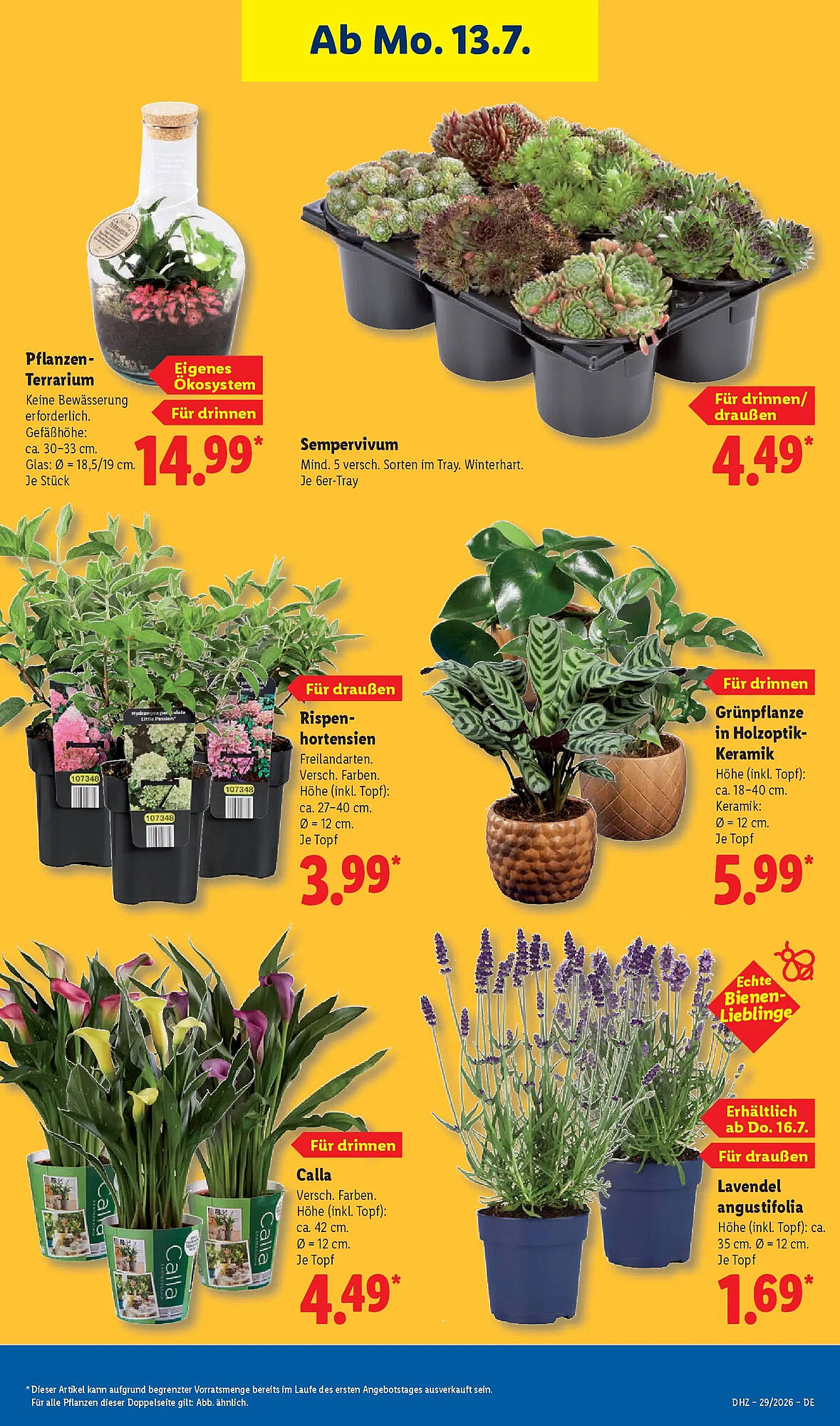 Lidl Prospekt - Pagina 27