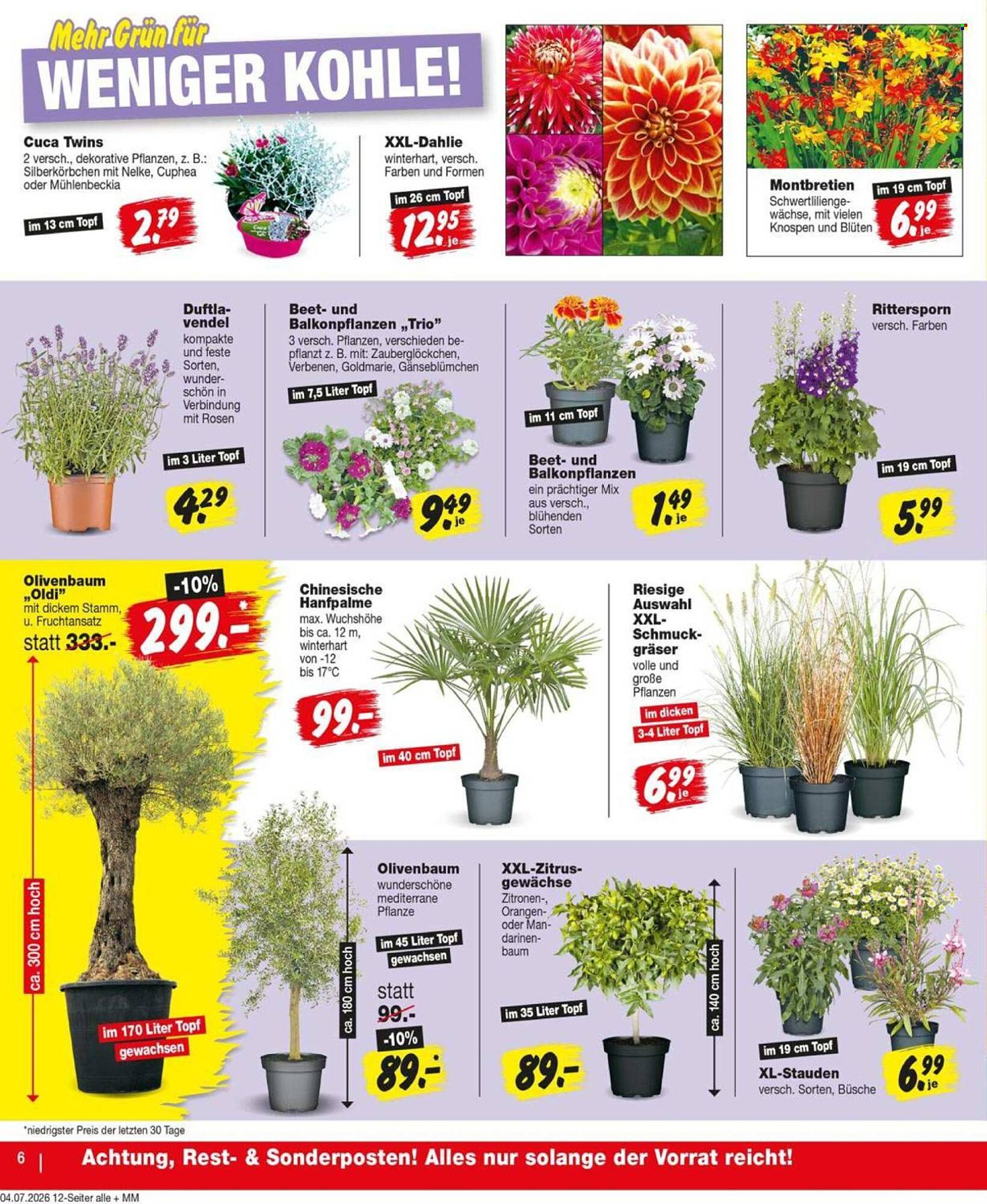 Repo Markt Prospekt - Pagina 6