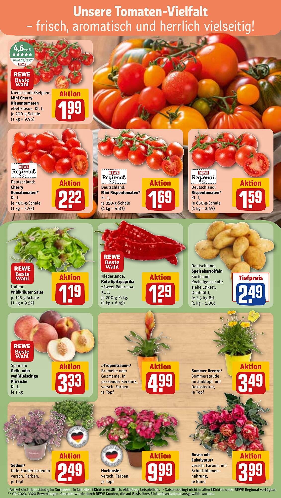 REWE Prospekt - Pagina 5
