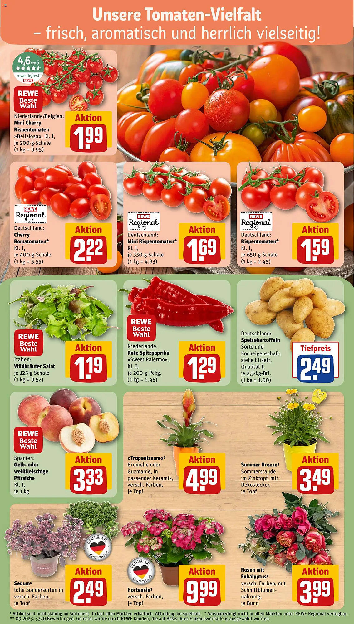 REWE Kaufpark Prospekt - Pagina 5