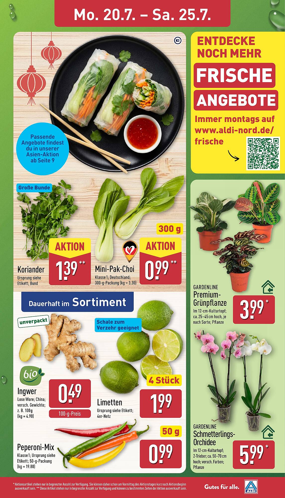 Aldi Nord Prospekt - Pagina 3