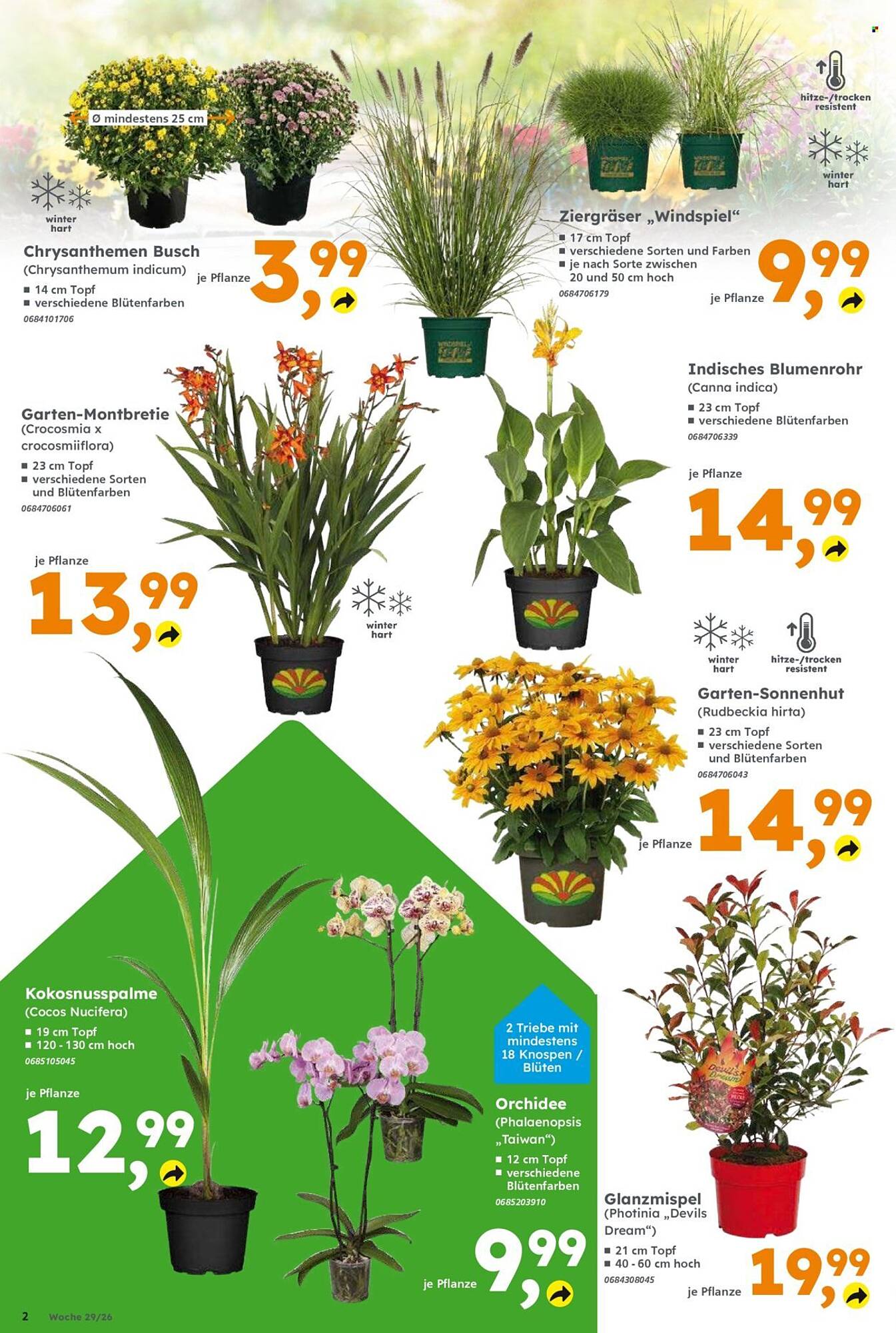 Globus Baumarkt Prospekt - Pagina 2