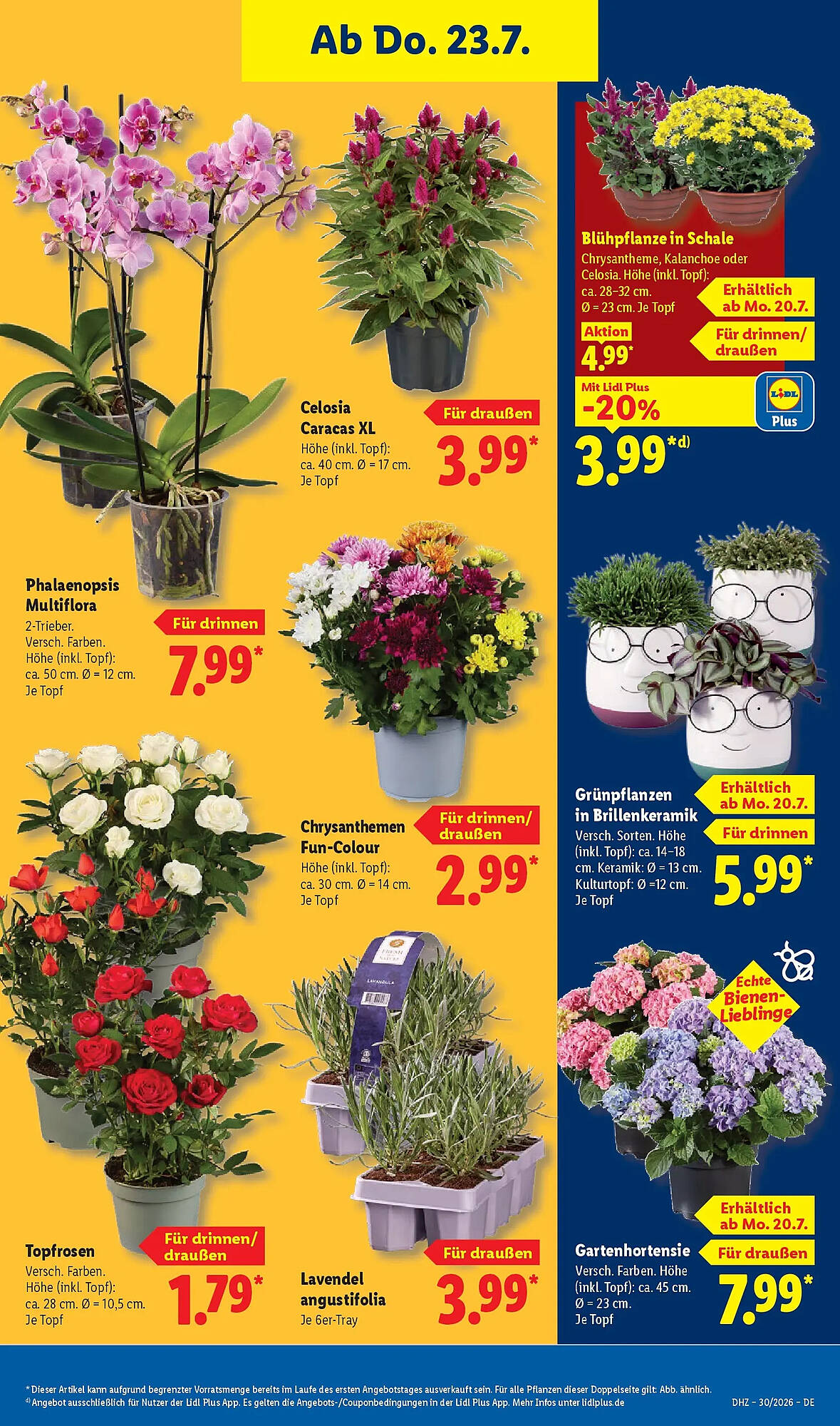 Lidl Prospekt - Pagina 29