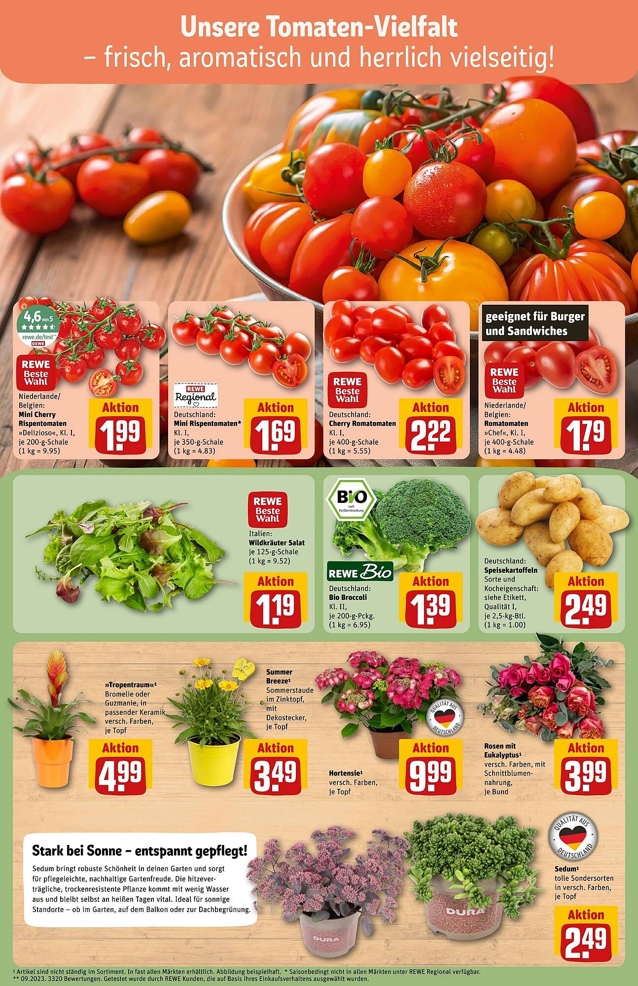 REWE Center Prospekt - Pagina 7