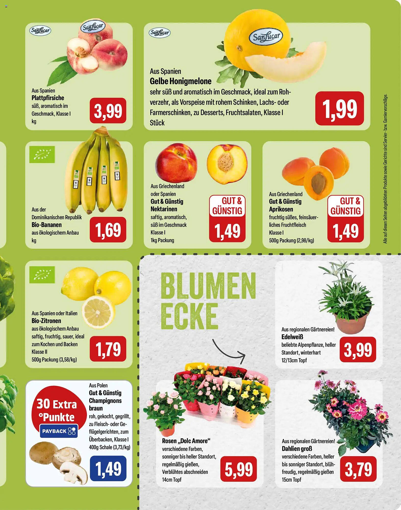 Feneberg Prospekt - Pagina 9