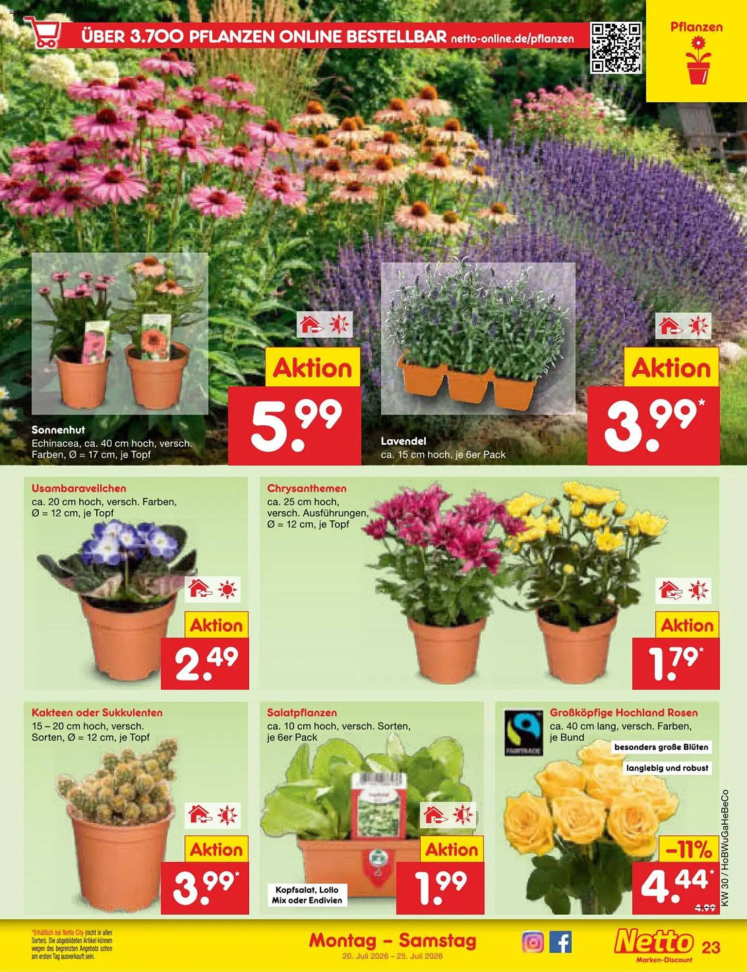 Netto Marken-Discount Prospekt - Pagina 39