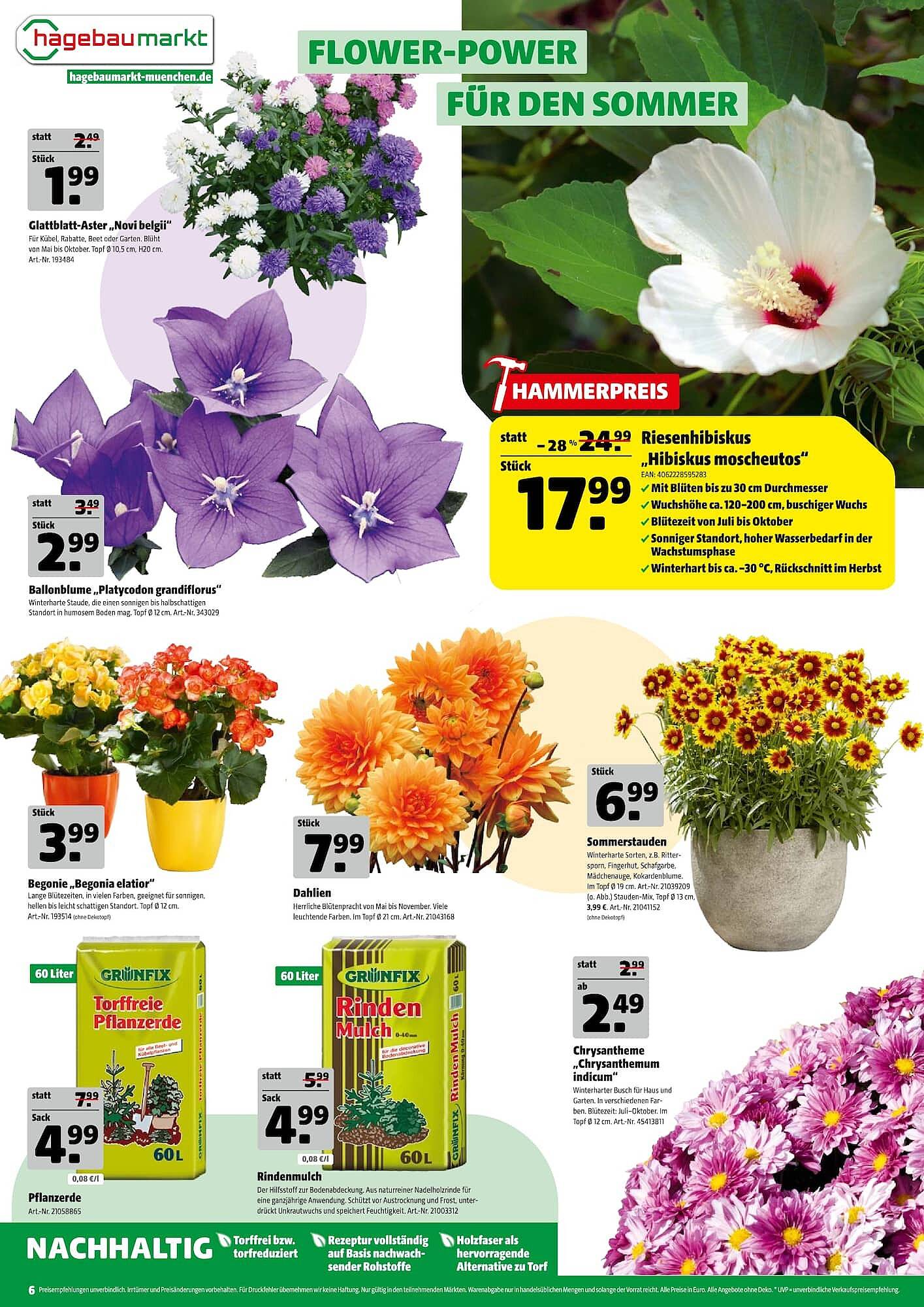 Hagebau Prospekt - Pagina 6