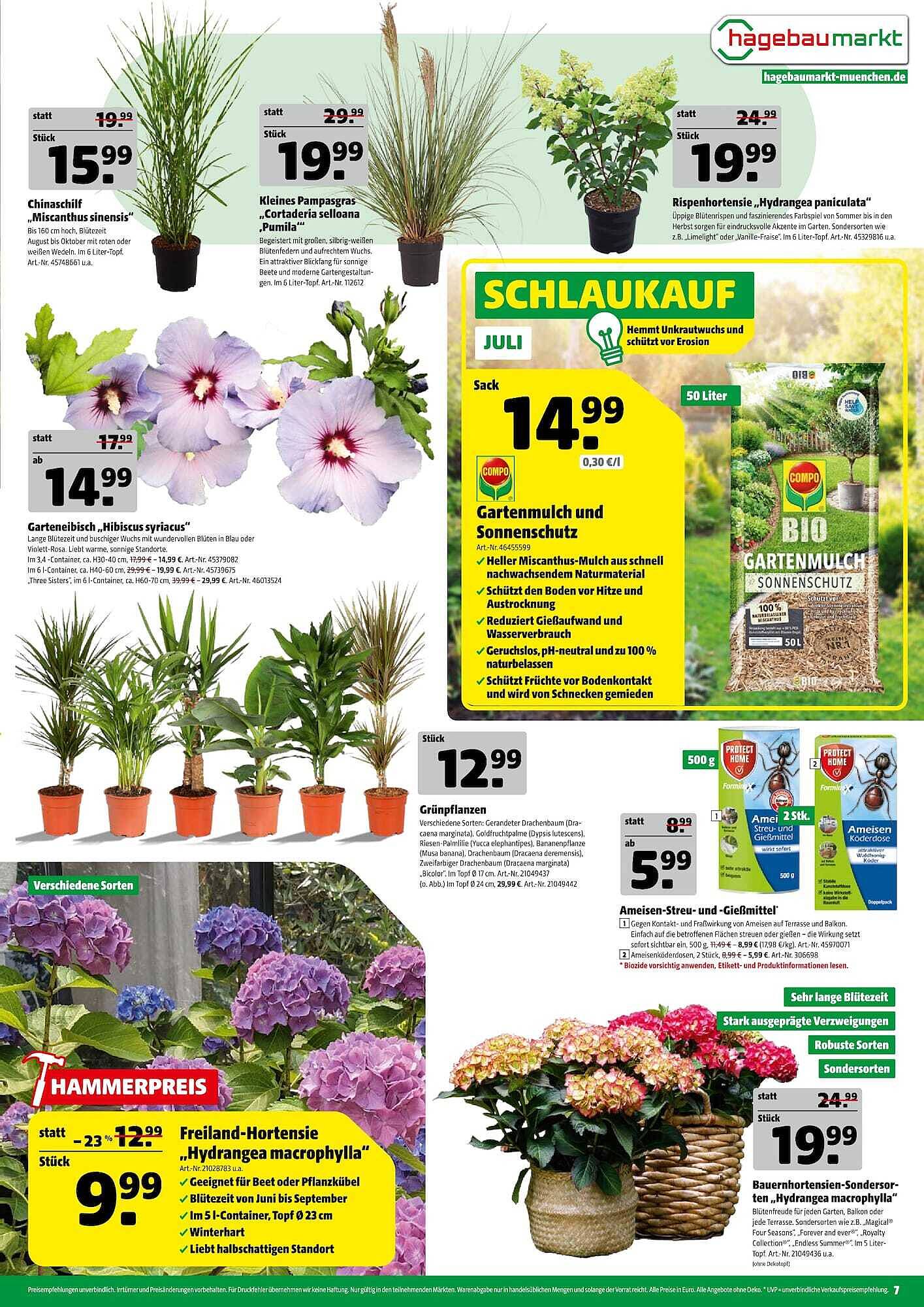 Hagebau Prospekt - Pagina 7