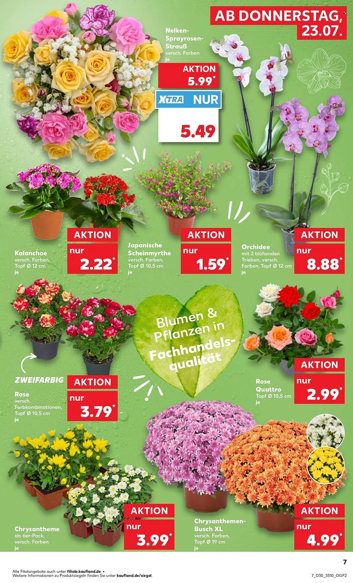 Kaufland Prospekt - Pagina 7