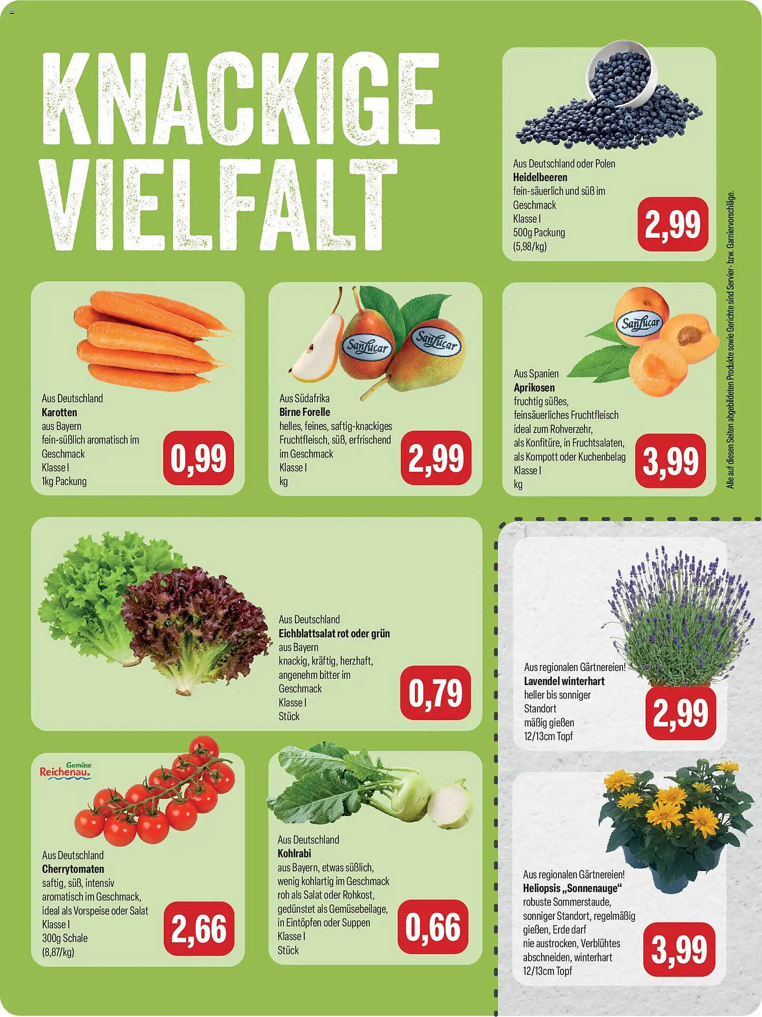 Feneberg Prospekt - Pagina 7