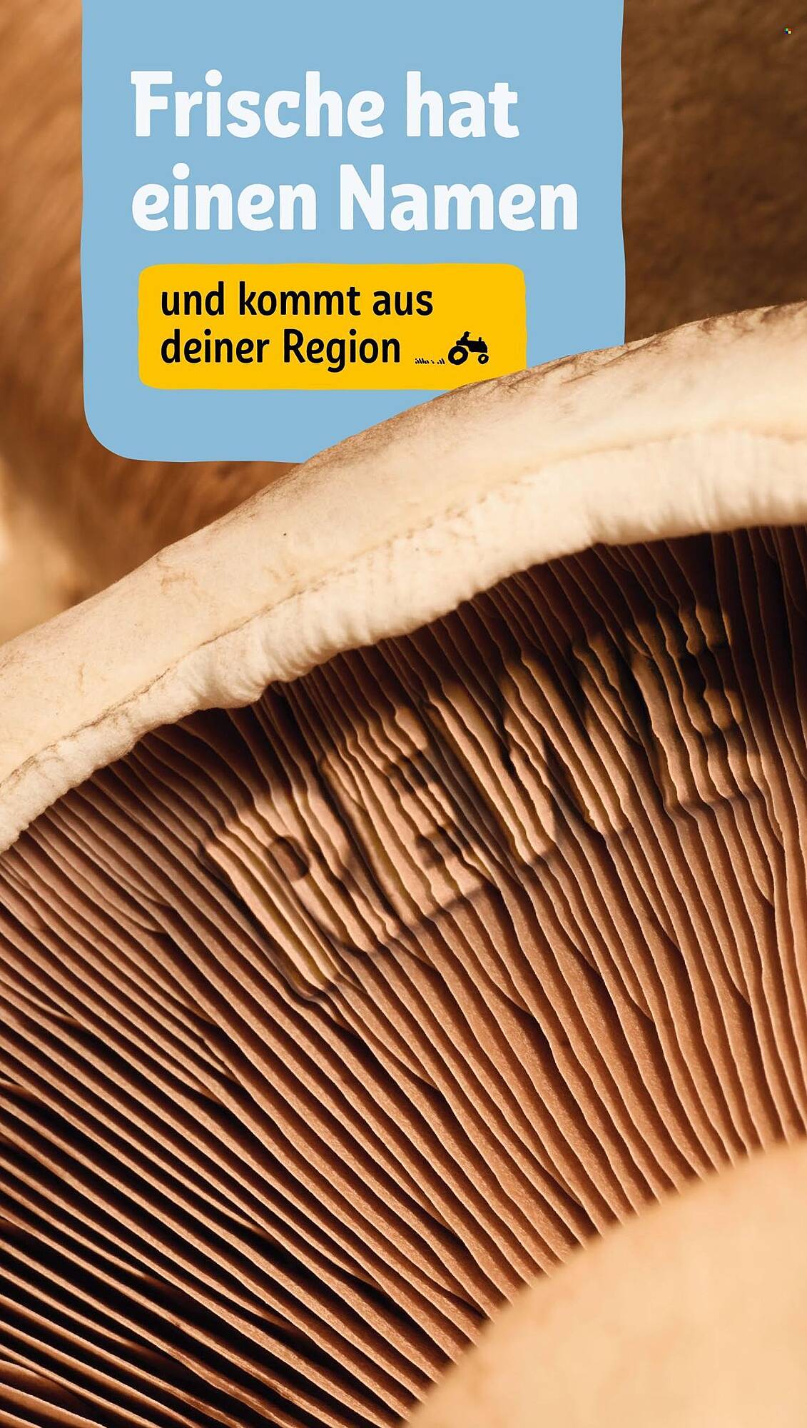 REWE Prospekt - Pagina 21