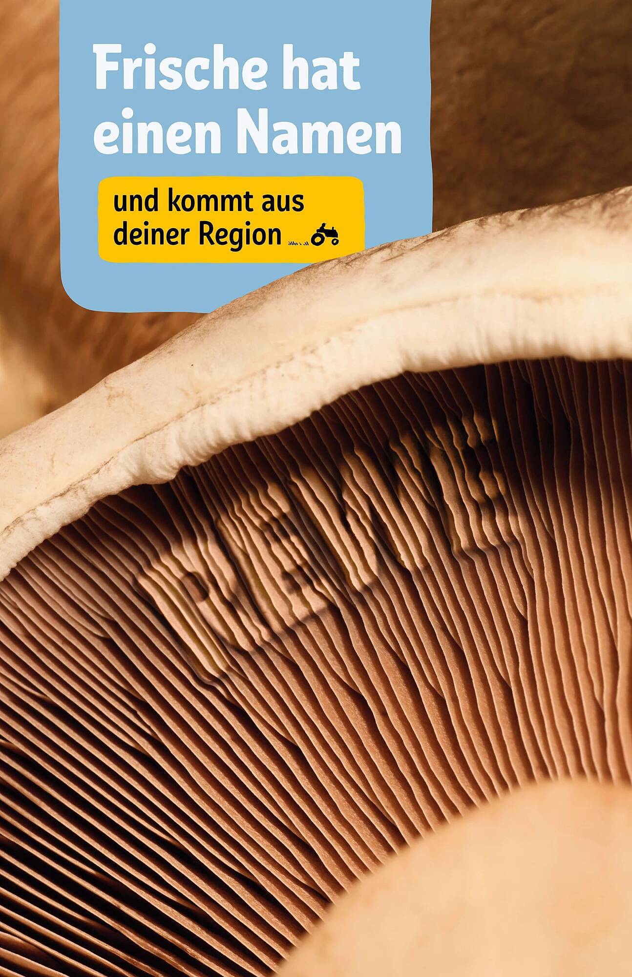 REWE Center Prospekt - Pagina 19