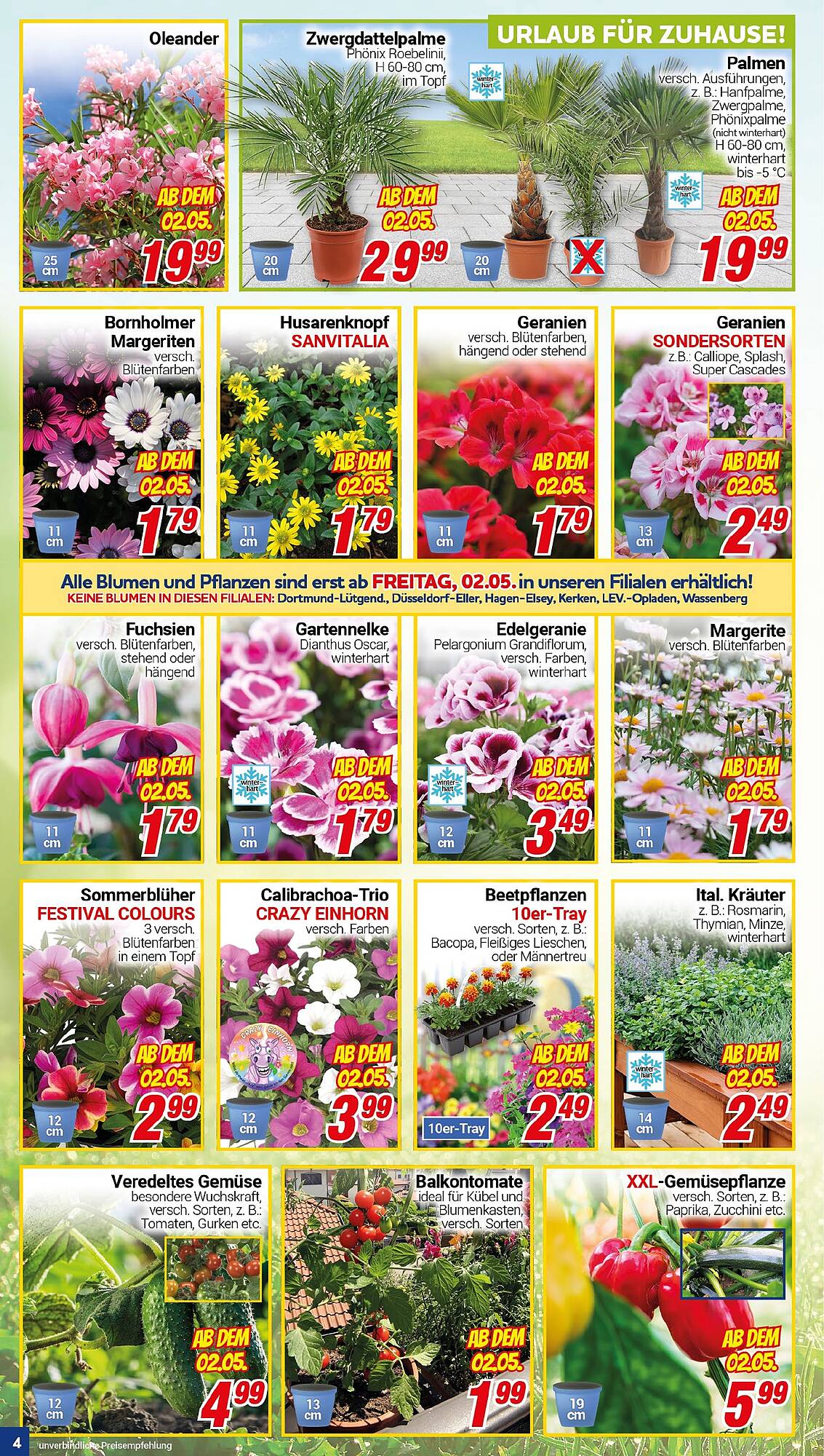 CENTERSHOP Prospekt