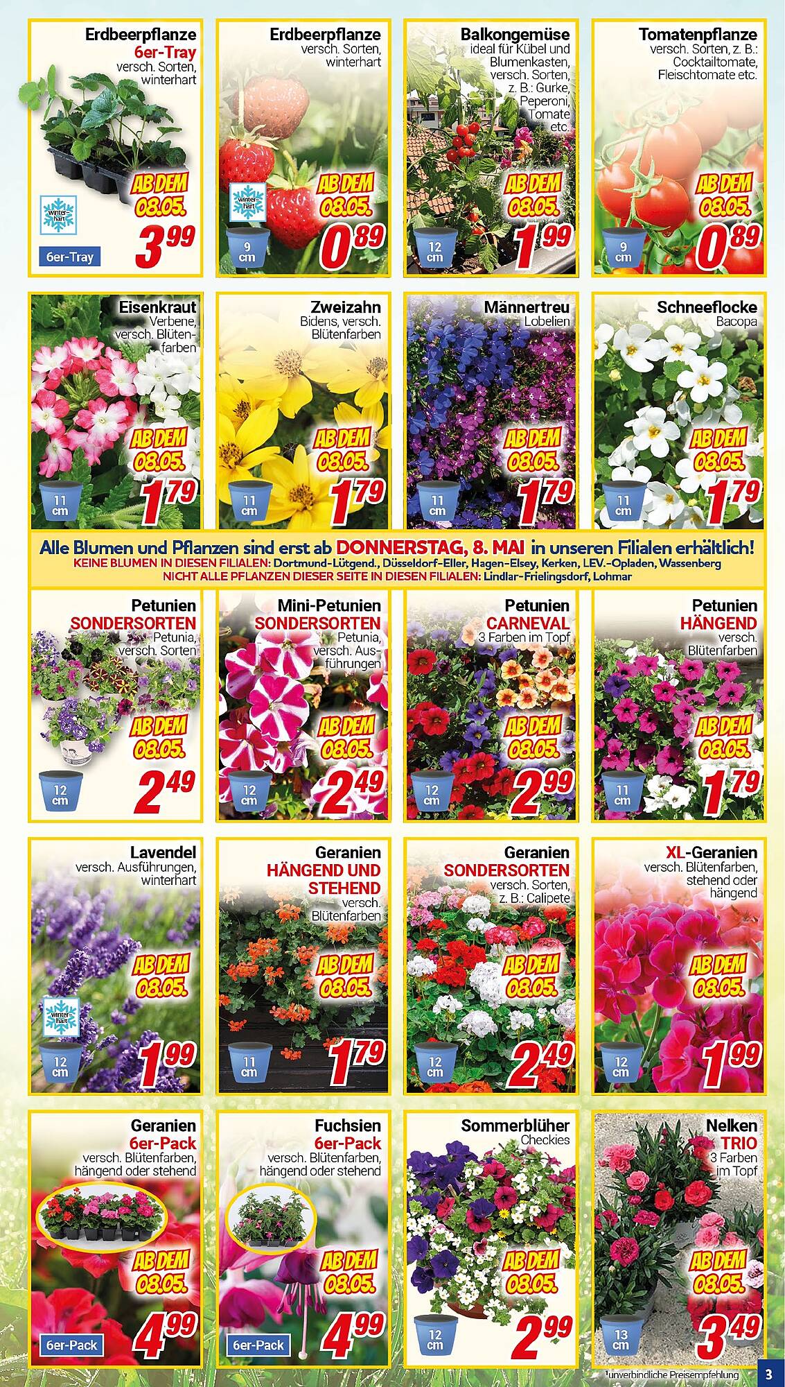 CENTERSHOP Prospekt