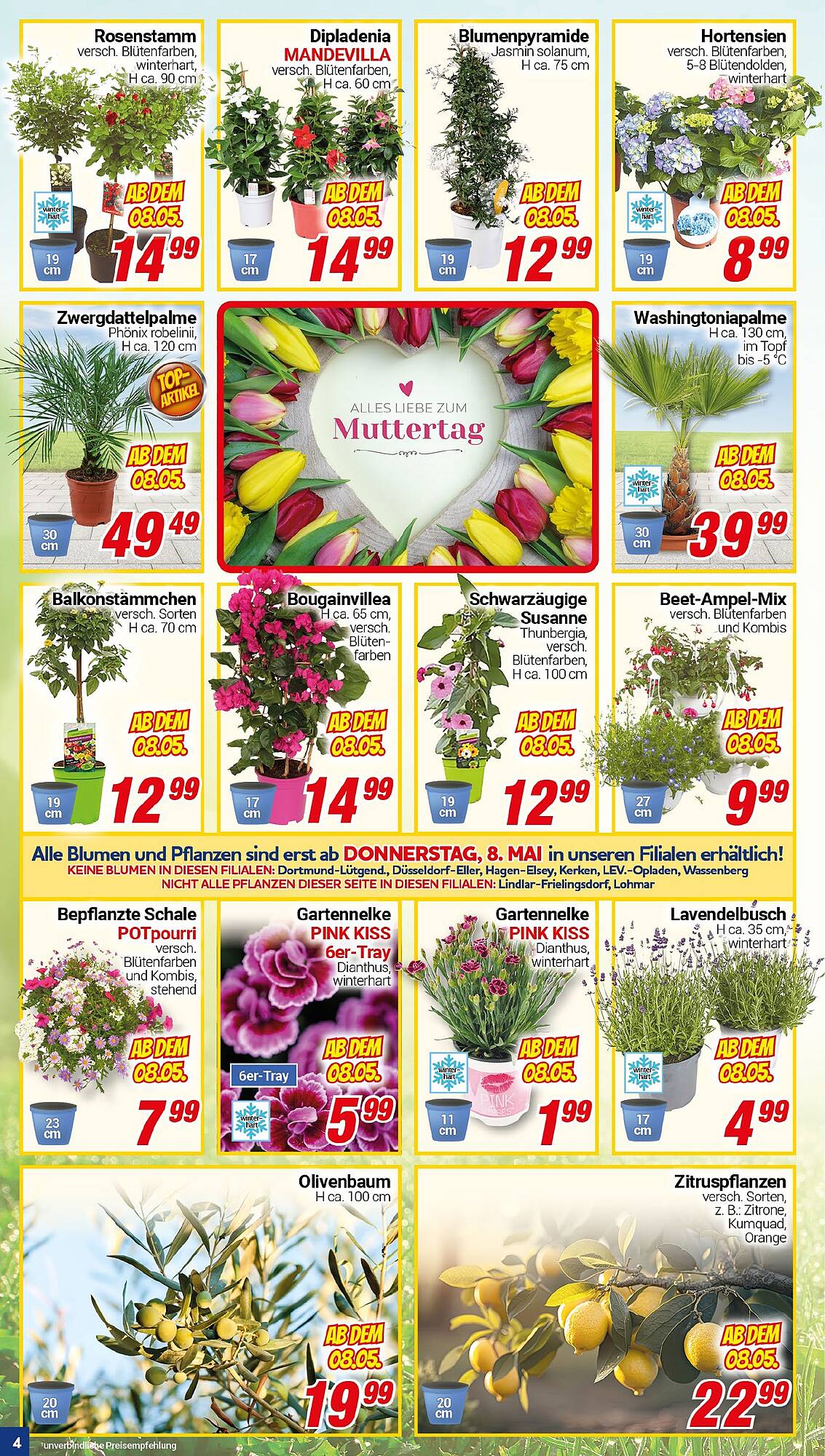 CENTERSHOP Prospekt