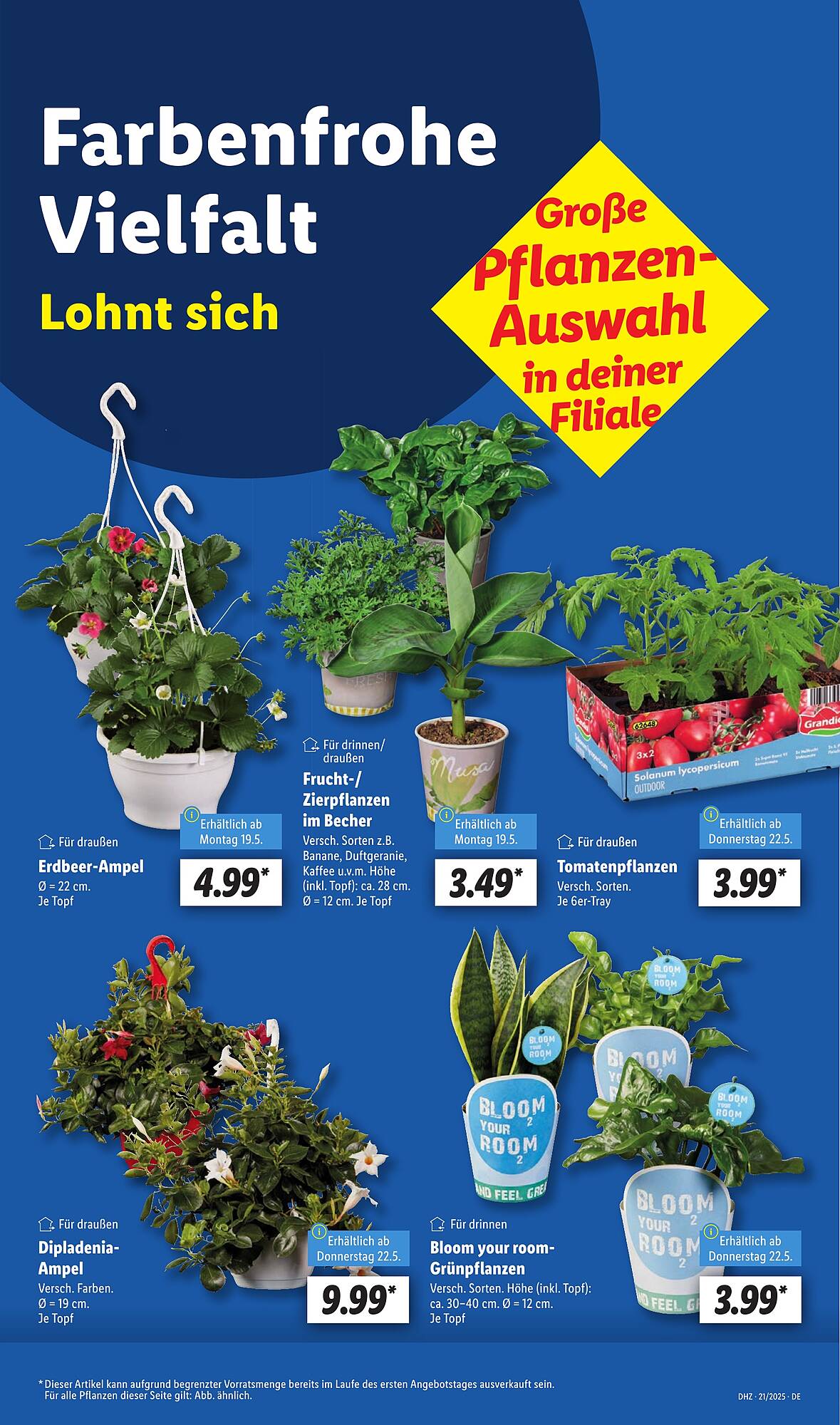 Lidl Prospekt