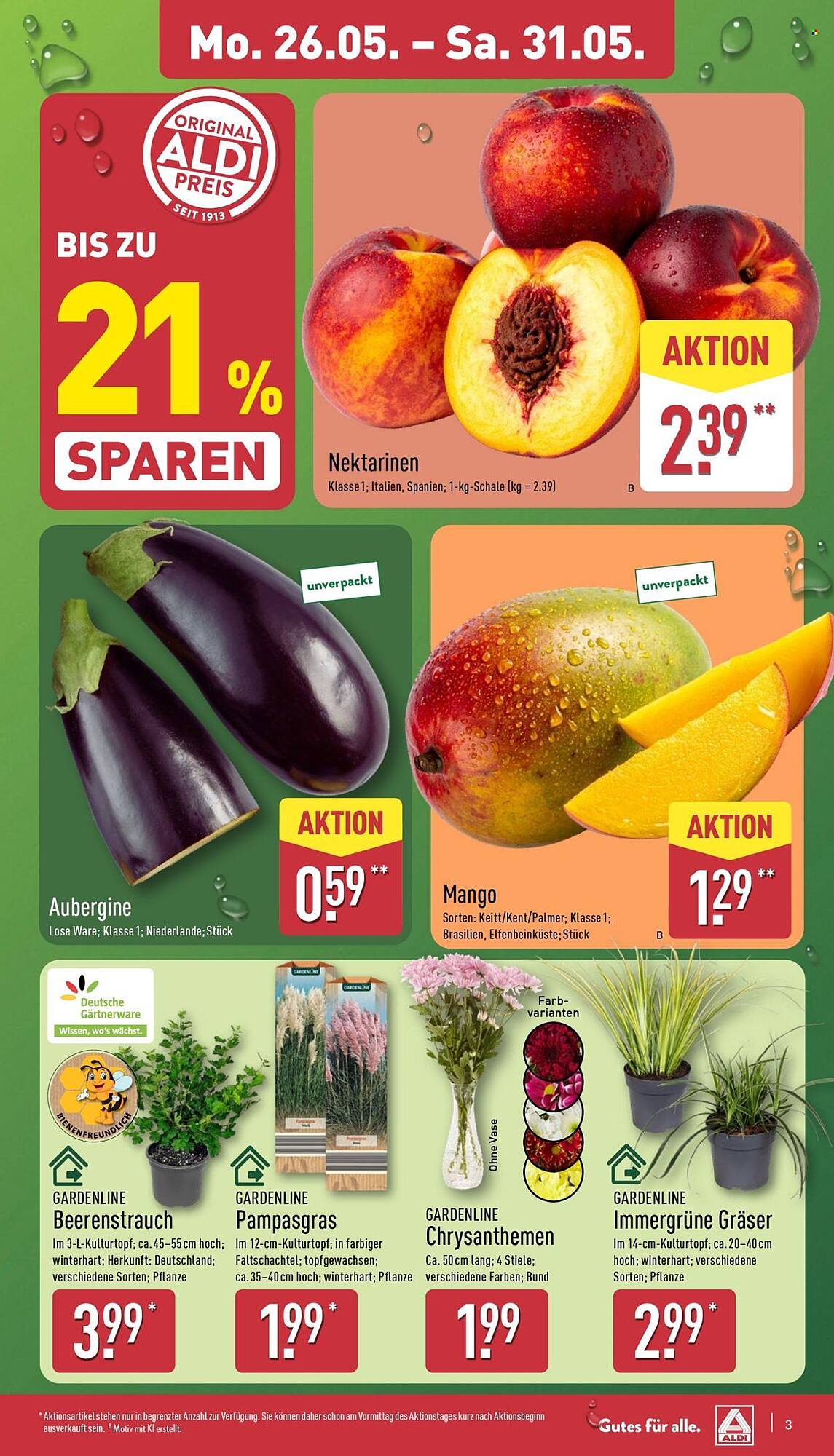 Aldi Nord Prospekt