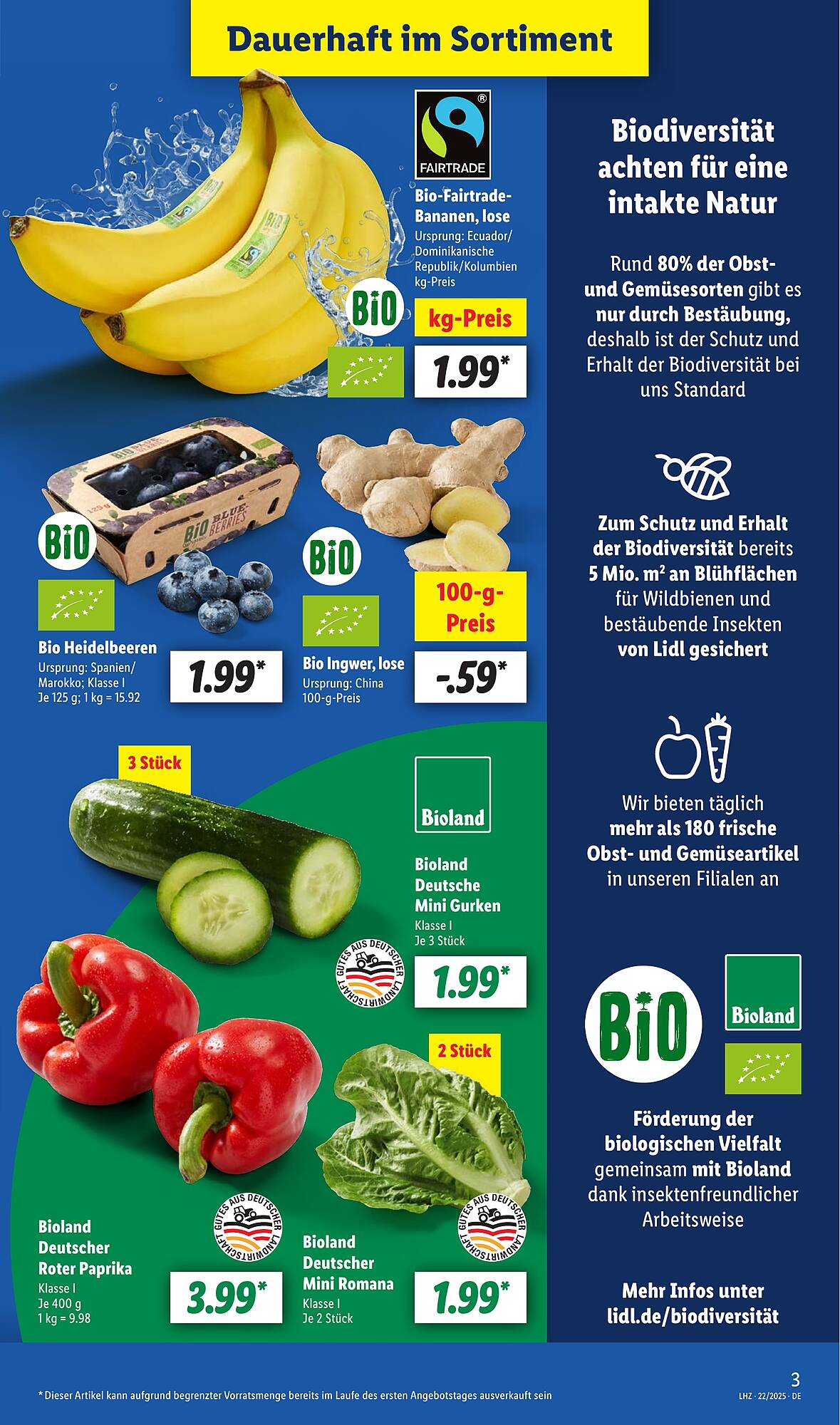 Lidl Prospekt