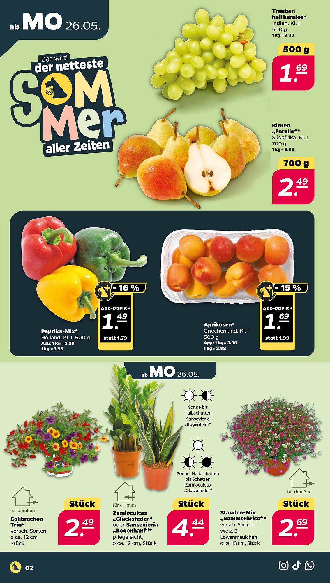 NETTO Prospekt