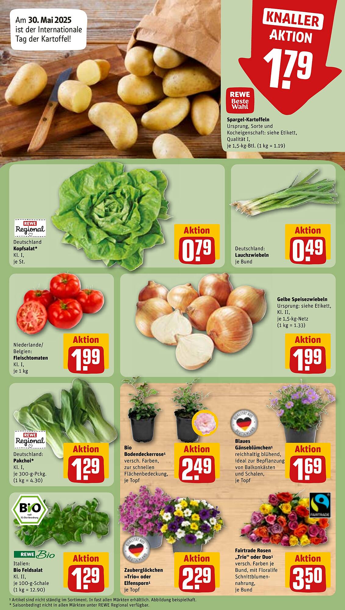REWE Kaufpark Prospekt
