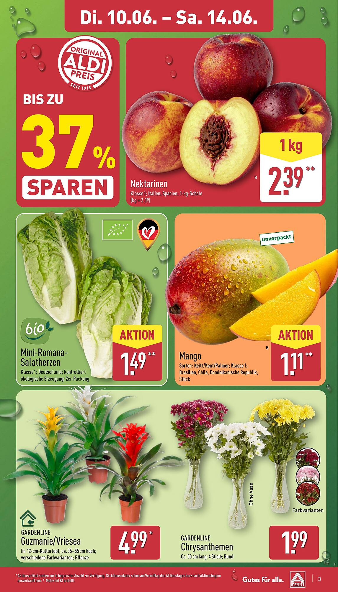 Aldi Nord Prospekt
