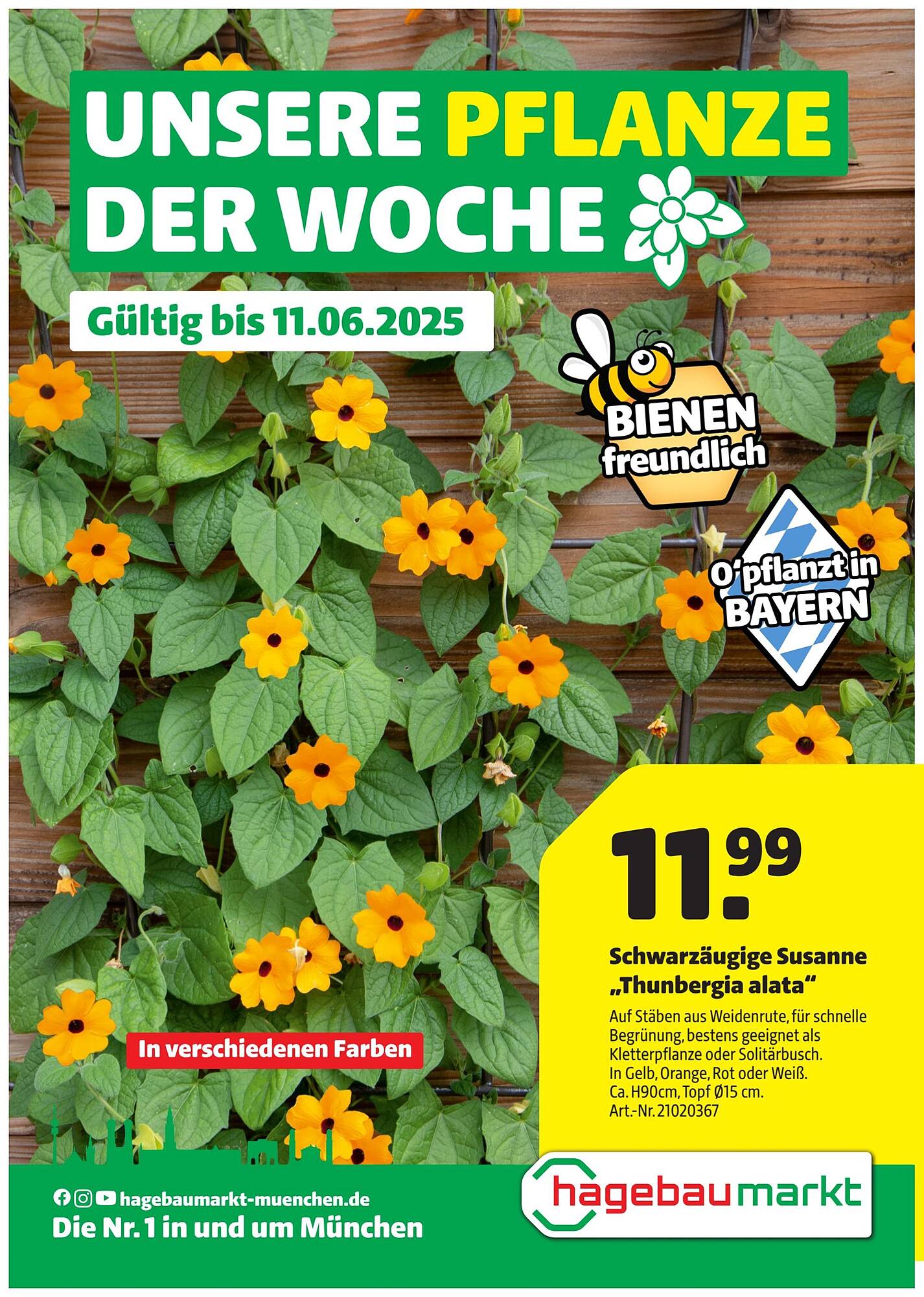 Hagebau Prospekt
