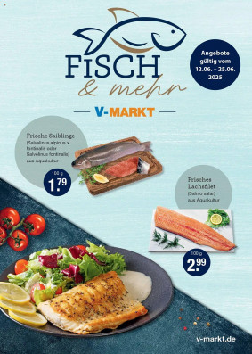 V-Markt Prospekt