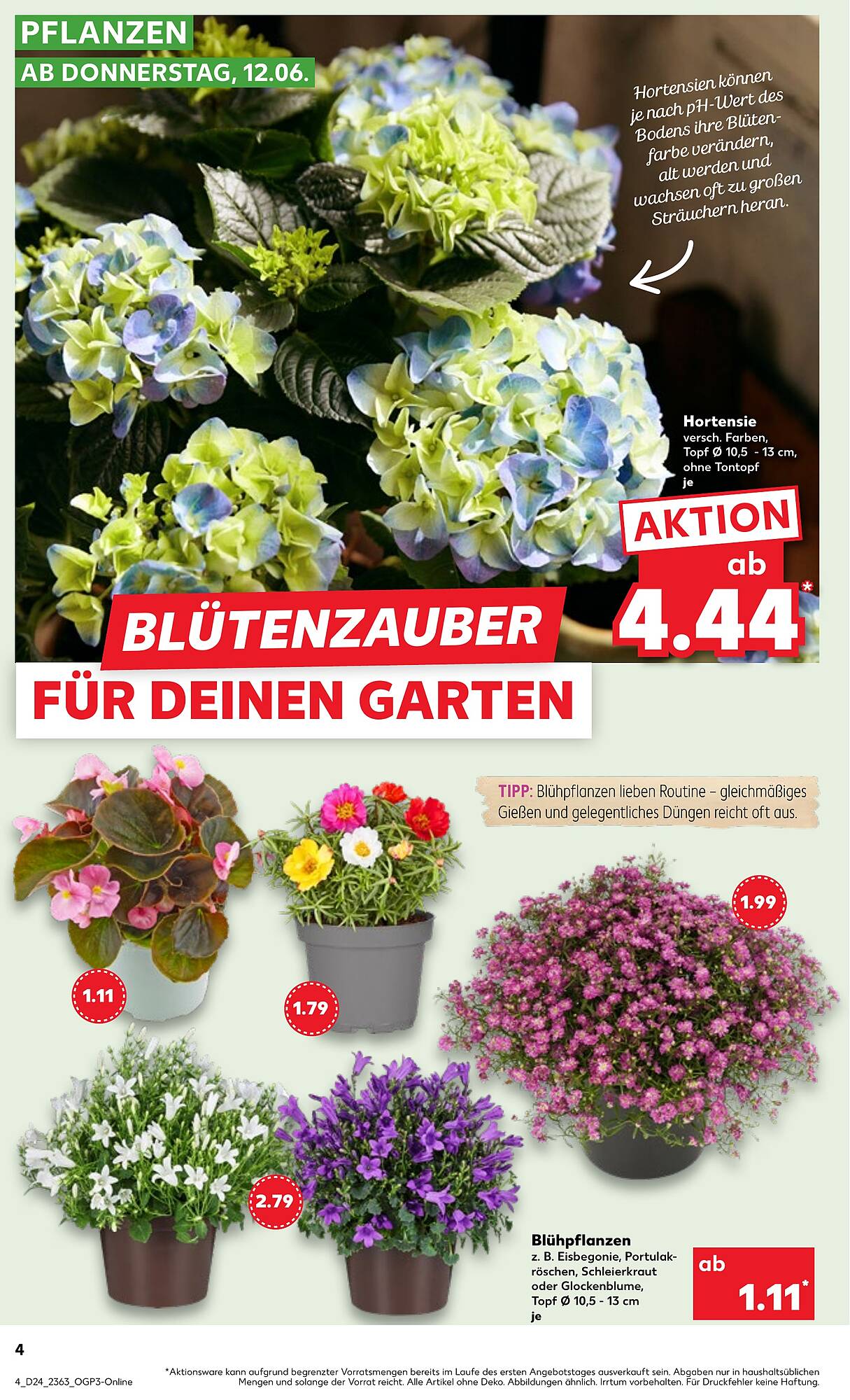 Kaufland Prospekt