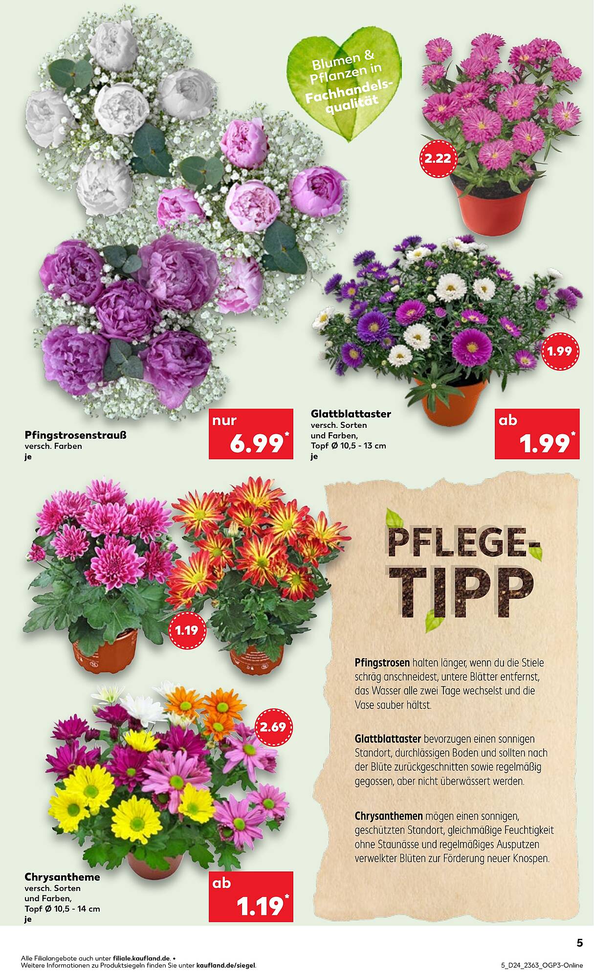 Kaufland Prospekt