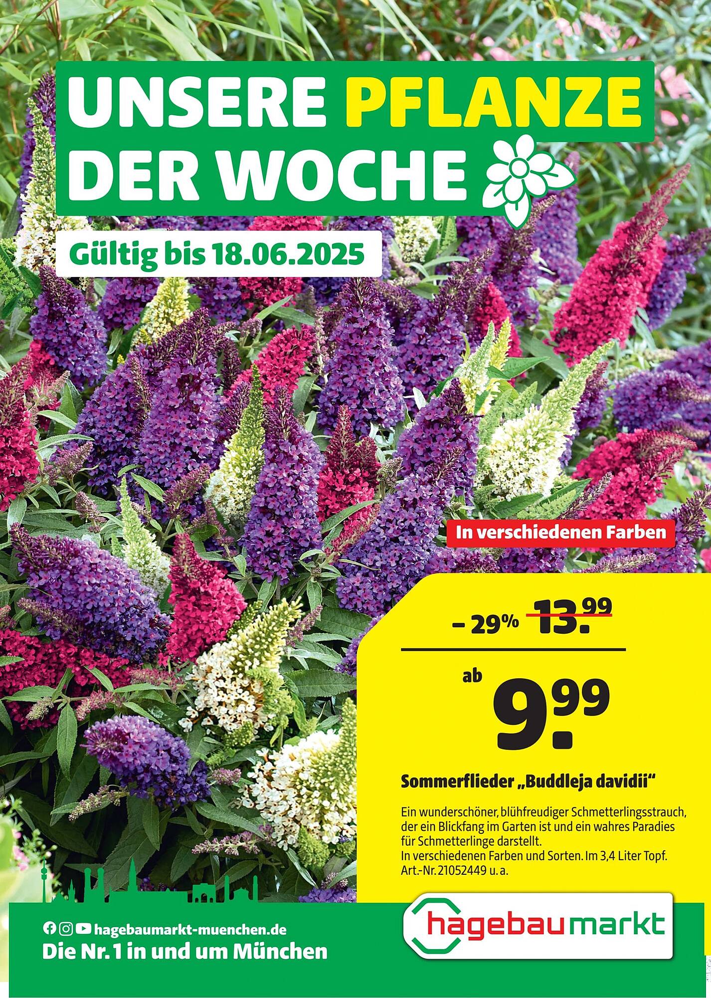 Hagebau Prospekt