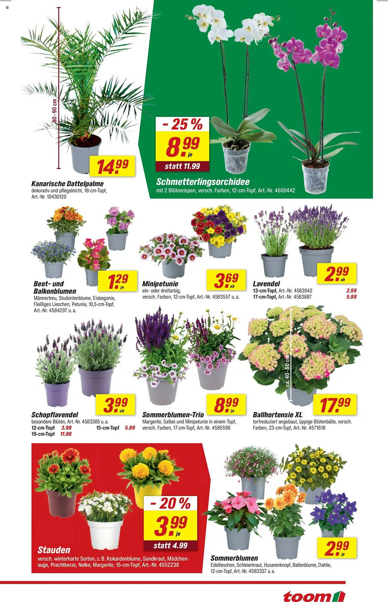 toom Baumarkt Prospekt