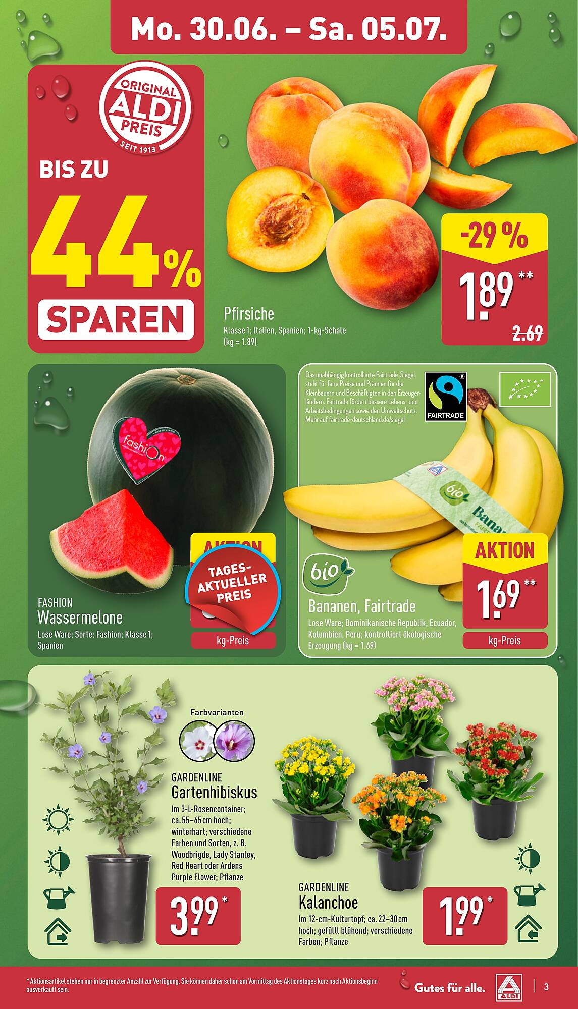 Aldi Nord Prospekt