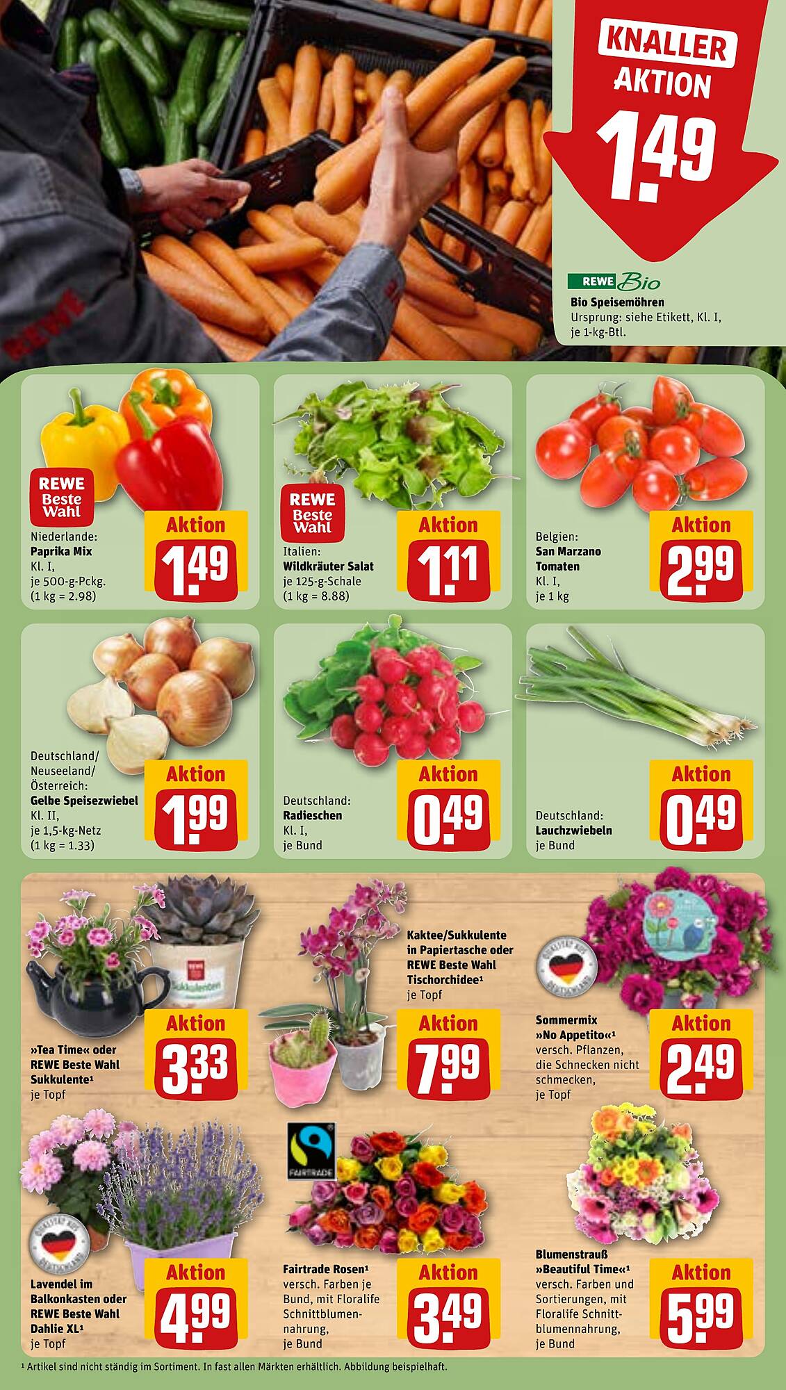 REWE Prospekt