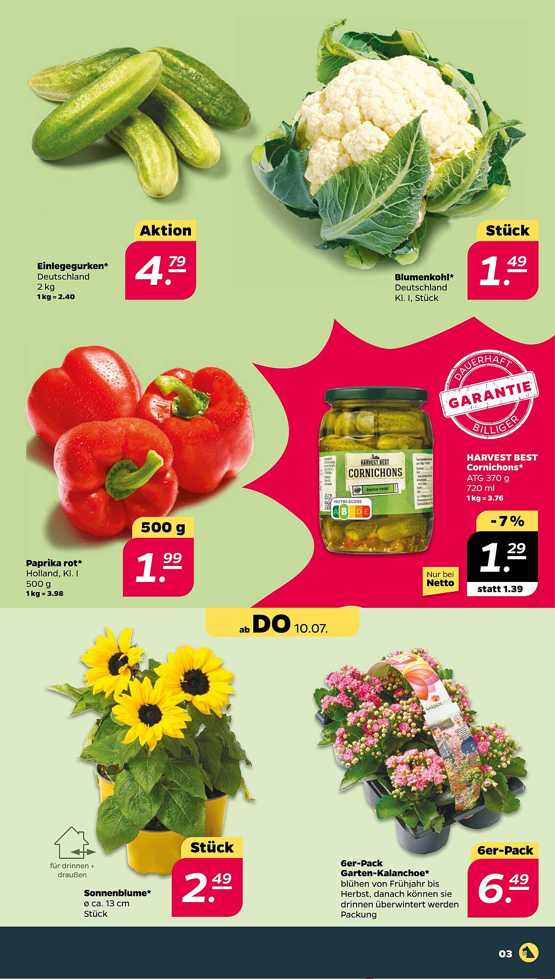 NETTO Prospekt