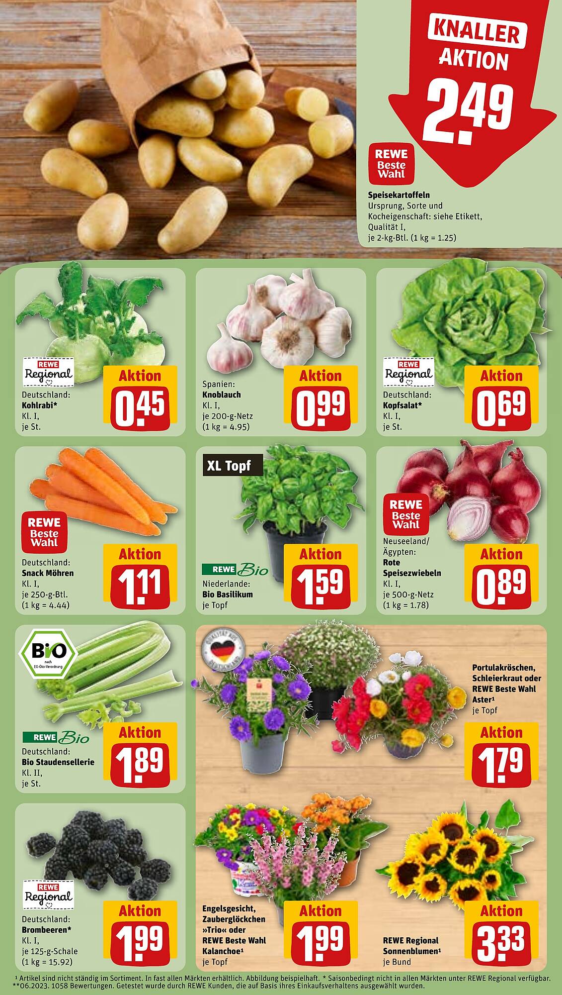 REWE Prospekt
