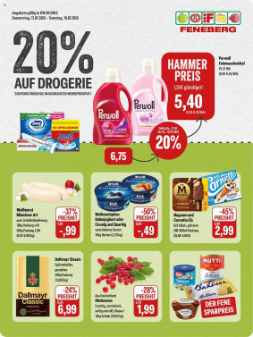 Feneberg Prospekt