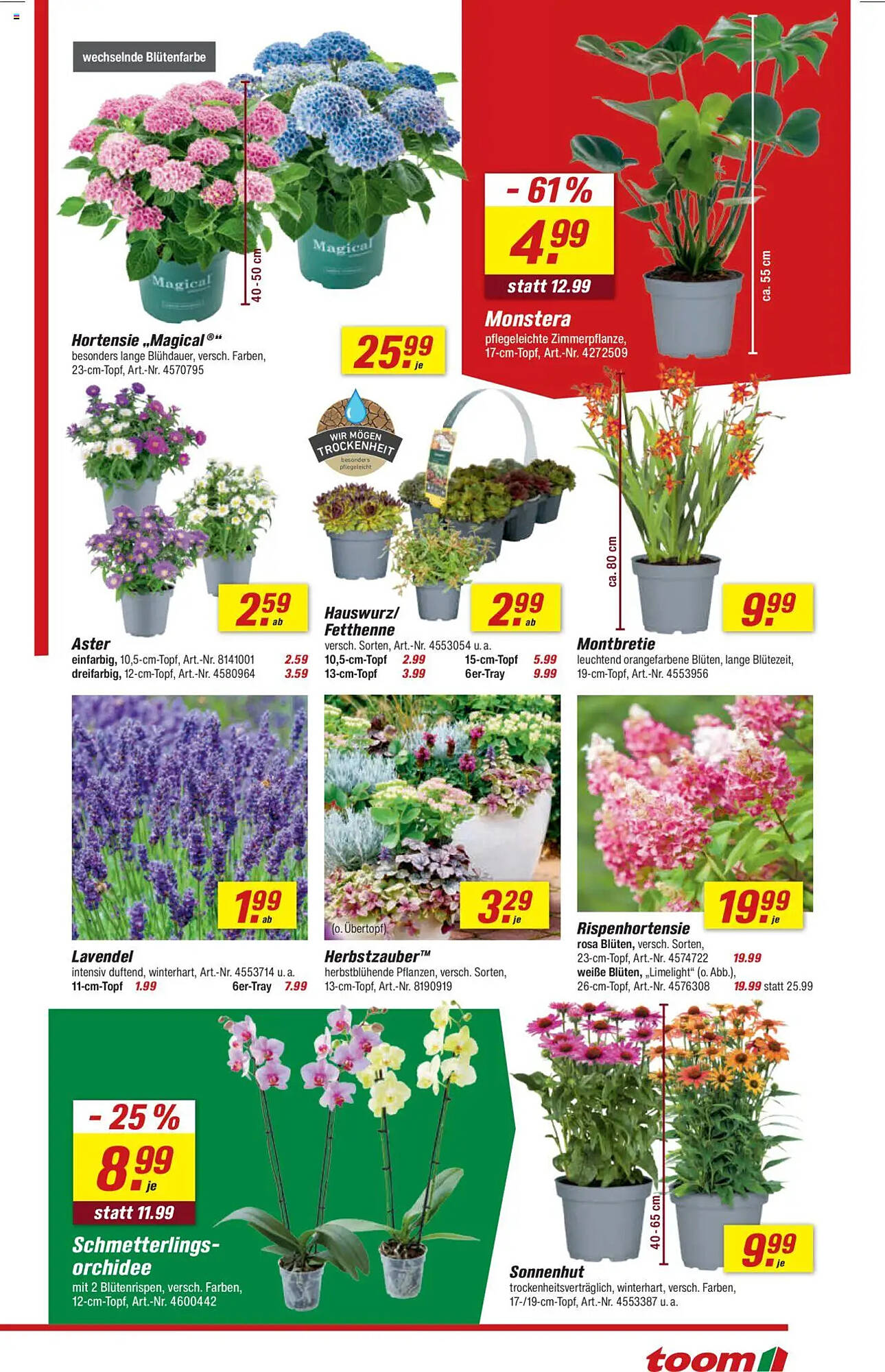toom Baumarkt Prospekt - Pagina 3