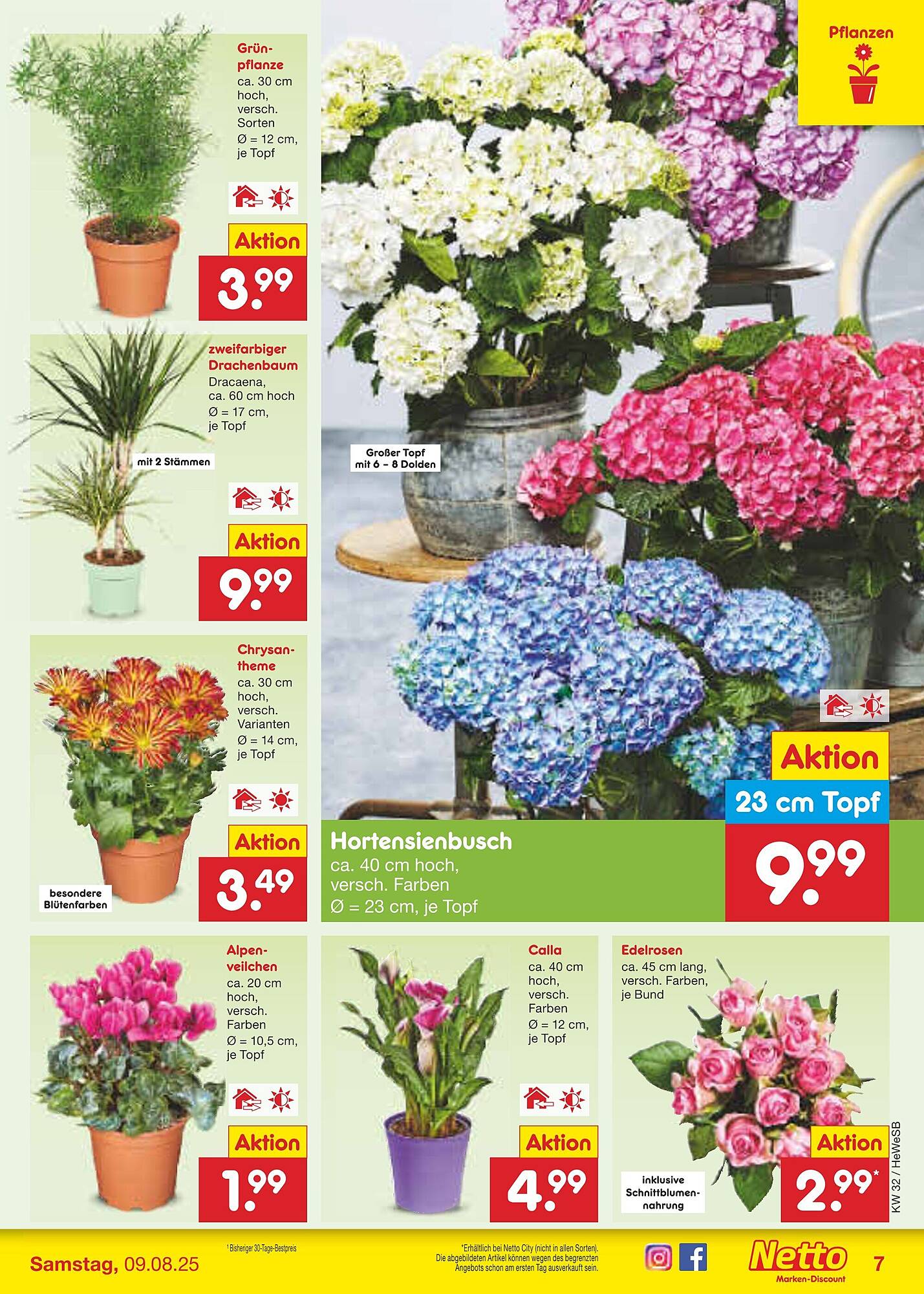 Netto Marken-Discount Prospekt - Pagina 9