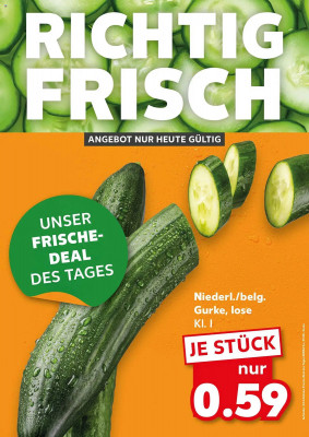 Kaufland Prospekt
