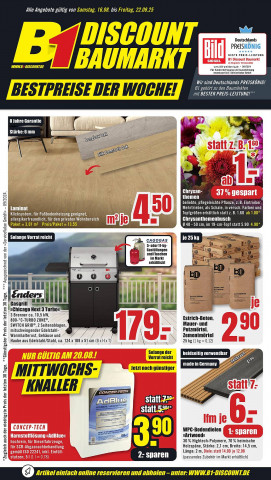 B1 Discount Baumarkt Prospekt